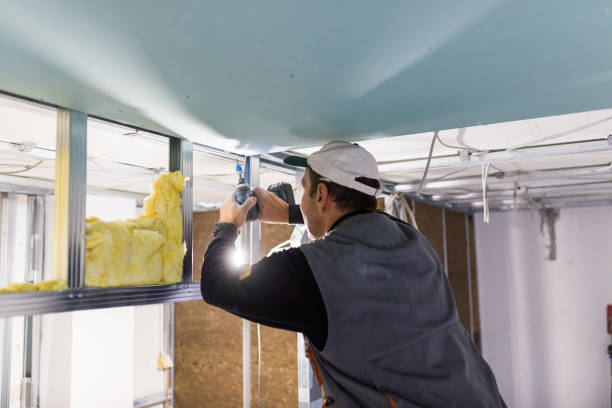 Best Attic Insulation Near Me  in USA